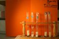 gal/LES_CINQUIEMES/ACTIVITE DIGESTION IN VITRO/Groupe_04/Groupe04_T_01h20min/_thb_Groupe04_T_01h_20min_1.JPG
